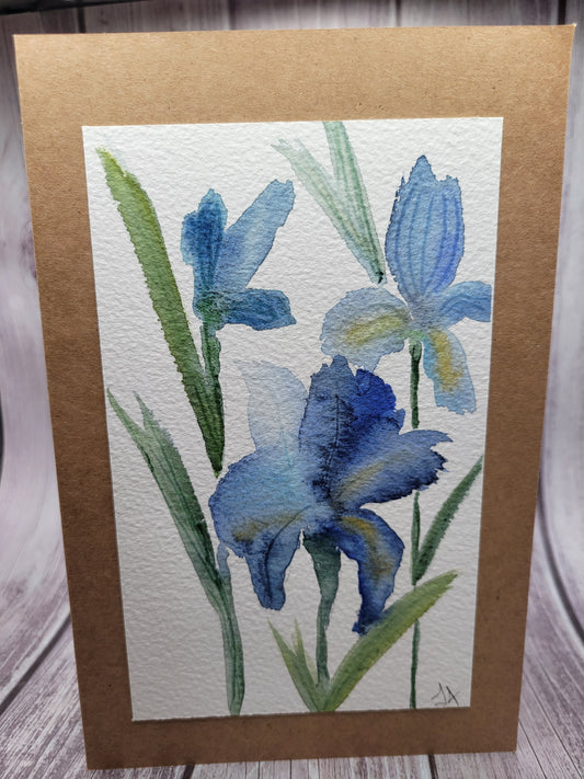 Blue Iris